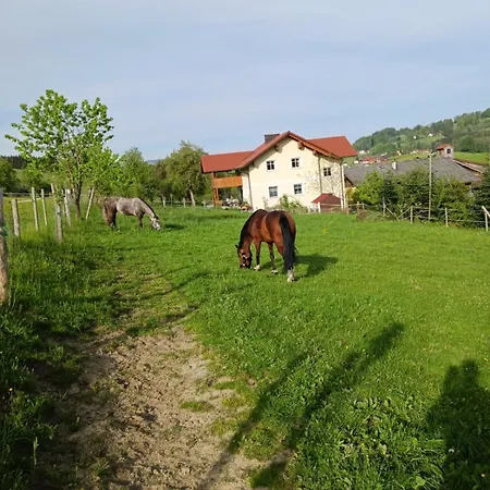 Appartement Luxusappartement Zell am Moos