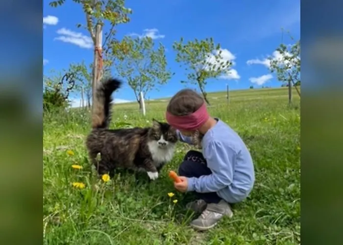 Appartamento Schlader *