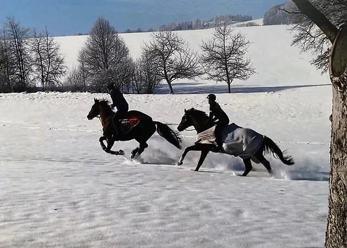 Schlader Appartamento Zell am Moos