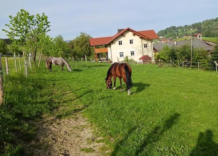 Appartamento Schlader Zell am Moos