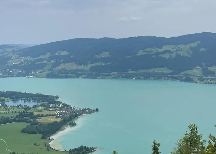 Schlader Zell am Moos