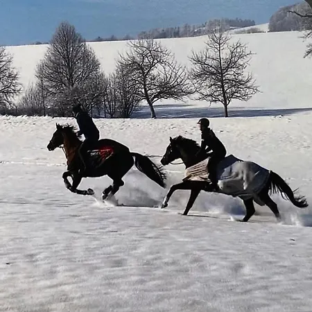Schlader דירה זל אם מוס